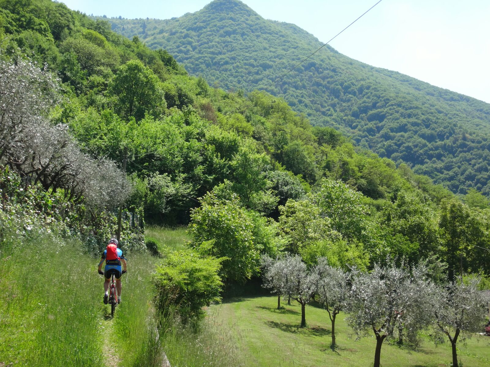 7 maggio 2016 - Escursione nei Territori del Brenta