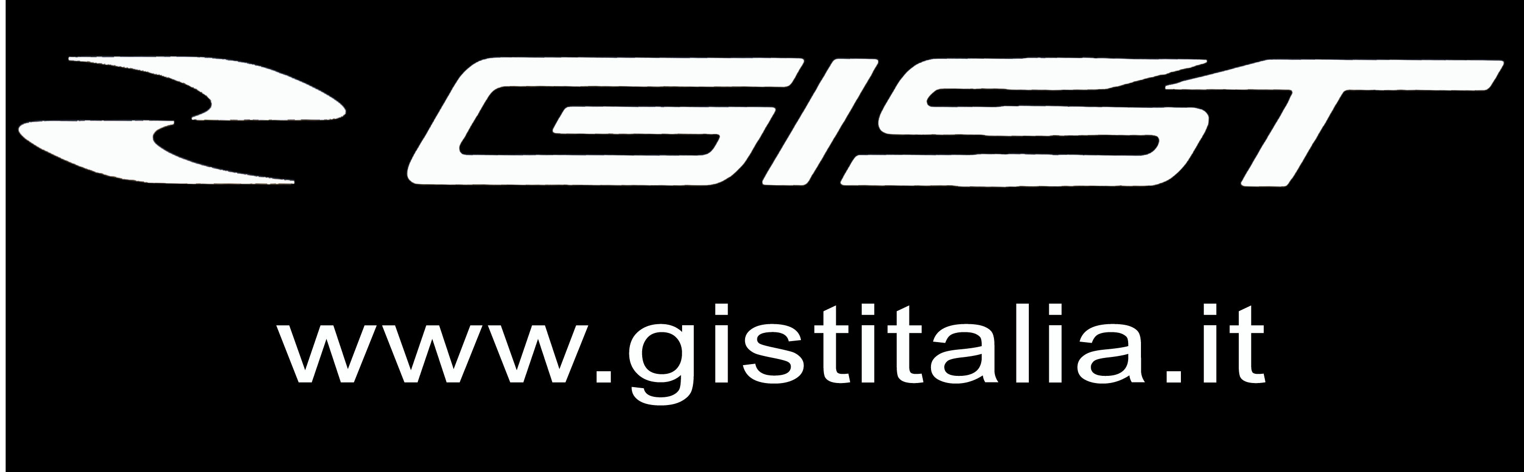 logo GIST Italia