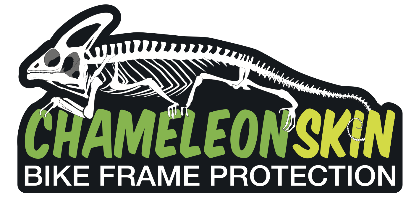Logo Chameleon Skin